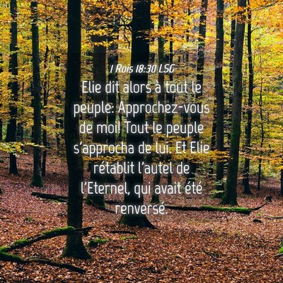 Picture 04 - 1 Rois 18:30 LSG - Elie dit alors à tout le peuple: Approchez-vous - Bible Verse Picture
