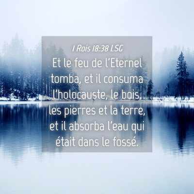 Picture 04 - 1 Rois 18:38 LSG - Et le feu de l'Eternel tomba, et il consuma - Bible Verse Picture