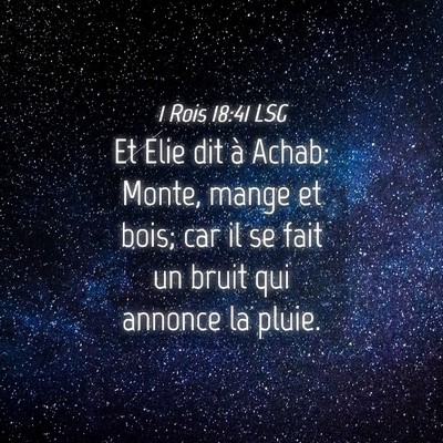 Picture 04 - 1 Rois 18:41 LSG - Et Elie dit à Achab: Monte, mange et bois; car - Bible Verse Picture