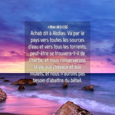 Picture 04 - 1 Rois 18:5 LSG - Achab dit à Abdias: Va par le pays vers toutes - Bible Verse Picture