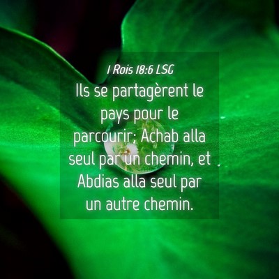 Picture 04 - 1 Rois 18:6 LSG - Ils se partagèrent le pays pour le parcourir; - Bible Verse Picture