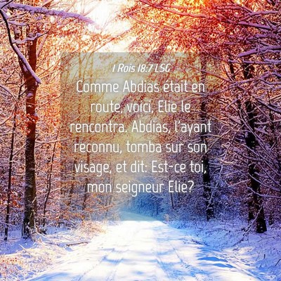 Picture 04 - 1 Rois 18:7 LSG - Comme Abdias était en route, voici, Elie le - Bible Verse Picture