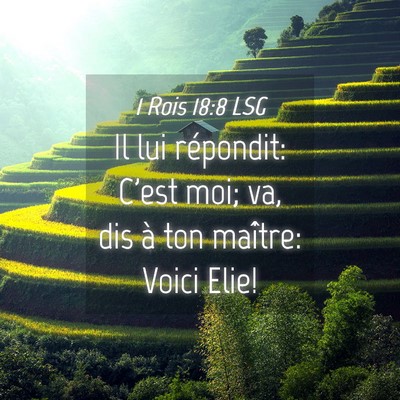 Picture 04 - 1 Rois 18:8 LSG - Il lui répondit: C'est moi; va, dis à ton - Bible Verse Picture