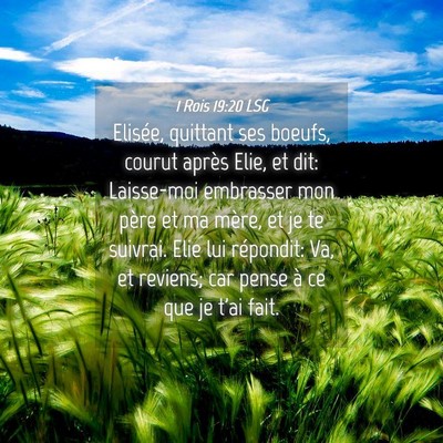 Picture 04 - 1 Rois 19:20 LSG - Elisée, quittant ses boeufs, courut après Elie, - Bible Verse Picture