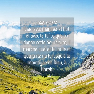 Picture 04 - 1 Rois 19:8 LSG - Il se leva, mangea et but; et avec la force que - Bible Verse Picture