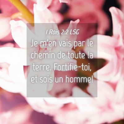 Picture 04 - 1 Rois 2:2 LSG - Je m'en vais par le chemin de toute la terre. - Bible Verse Picture