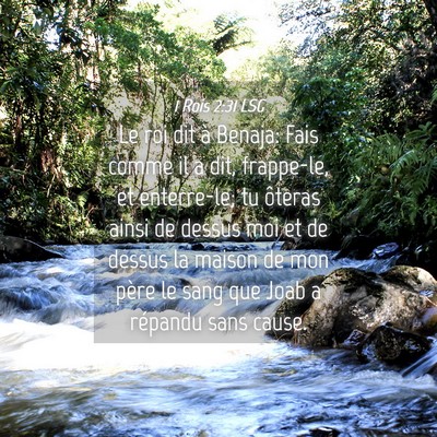 Picture 04 - 1 Rois 2:31 LSG - Le roi dit à Benaja: Fais comme il a dit, - Bible Verse Picture