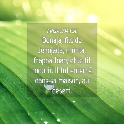 Picture 04 - 1 Rois 2:34 LSG - Benaja, fils de Jehojada, monta, frappa Joab, et - Bible Verse Picture