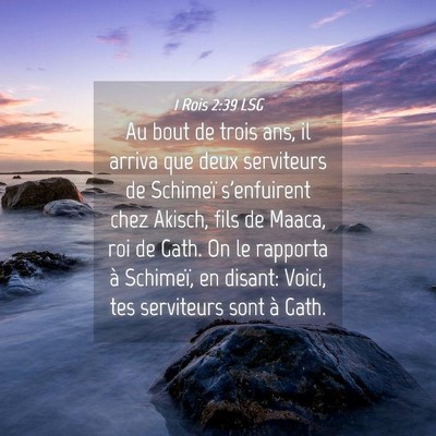 Picture 04 - 1 Rois 2:39 LSG - Au bout de trois ans, il arriva que deux - Bible Verse Picture
