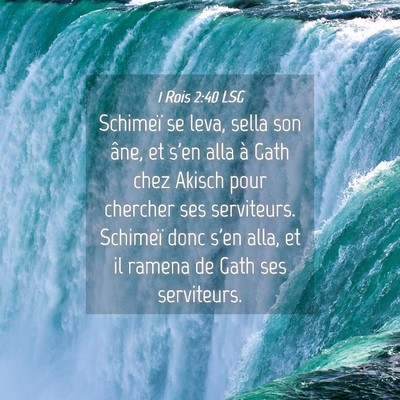 Picture 04 - 1 Rois 2:40 LSG - Schimeï se leva, sella son âne, et s'en alla à - Bible Verse Picture