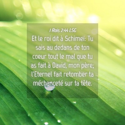 Picture 04 - 1 Rois 2:44 LSG - Et le roi dit à Schimeï: Tu sais au dedans de - Bible Verse Picture