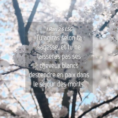 Picture 04 - 1 Rois 2:6 LSG - Tu agiras selon ta sagesse, et tu ne laisseras - Bible Verse Picture