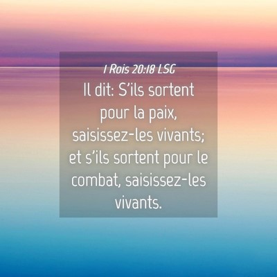 Picture 04 - 1 Rois 20:18 LSG - Il dit: S'ils sortent pour la paix, saisissez-les - Bible Verse Picture