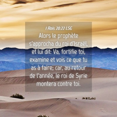 Picture 04 - 1 Rois 20:22 LSG - Alors le prophète s'approcha du roi d'Israël, - Bible Verse Picture