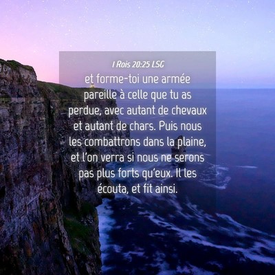 Picture 04 - 1 Rois 20:25 LSG - et forme-toi une armée pareille à celle que tu - Bible Verse Picture
