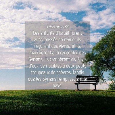 Picture 04 - 1 Rois 20:27 LSG - Les enfants d'Israël furent aussi passés en - Bible Verse Picture