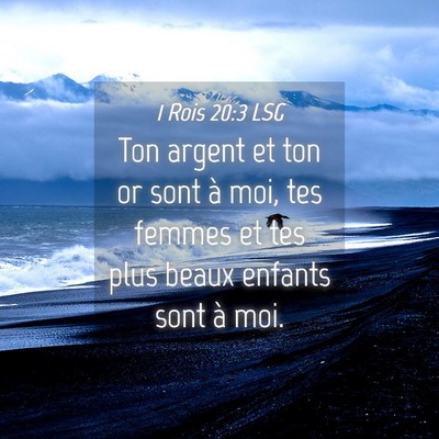 Picture 04 - 1 Rois 20:3 LSG - Ton argent et ton or sont à moi, tes femmes et - Bible Verse Picture