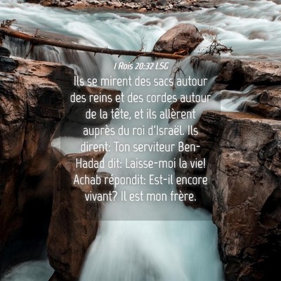 Picture 04 - 1 Rois 20:32 LSG - Ils se mirent des sacs autour des reins et des - Bible Verse Picture