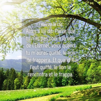 Picture 04 - 1 Rois 20:36 LSG - Alors il lui dit: Parce que tu n'as pas obéi à - Bible Verse Picture