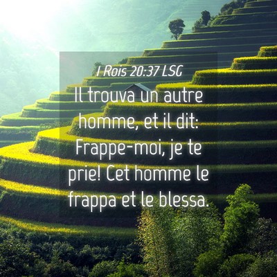 Picture 04 - 1 Rois 20:37 LSG - Il trouva un autre homme, et il dit: Frappe-moi, - Bible Verse Picture