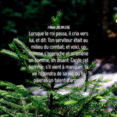 Picture 04 - 1 Rois 20:39 LSG - Lorsque le roi passa, il cria vers lui, et dit: - Bible Verse Picture
