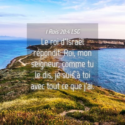 Picture 04 - 1 Rois 20:4 LSG - Le roi d'Israël répondit: Roi, mon seigneur, - Bible Verse Picture