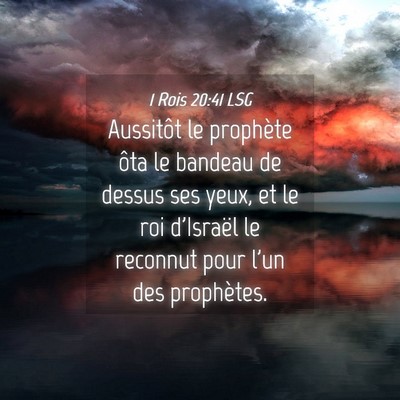 Picture 04 - 1 Rois 20:41 LSG - Aussitôt le prophète ôta le bandeau de dessus - Bible Verse Picture