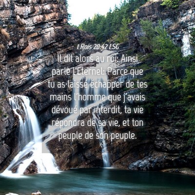 Picture 04 - 1 Rois 20:42 LSG - Il dit alors au roi: Ainsi parle l'Eternel: Parce - Bible Verse Picture