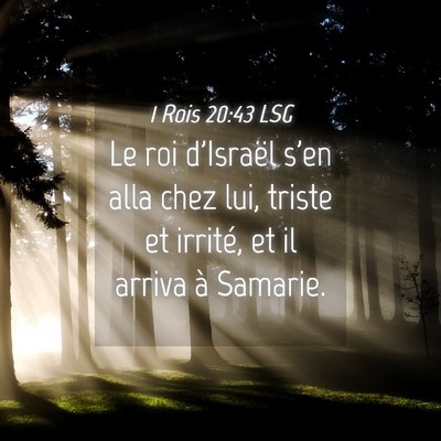Picture 04 - 1 Rois 20:43 LSG - Le roi d'Israël s'en alla chez lui, triste et - Bible Verse Picture