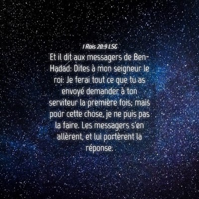 Picture 04 - 1 Rois 20:9 LSG - Et il dit aux messagers de Ben-Hadad: Dites à - Bible Verse Picture