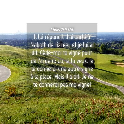 Picture 04 - 1 Rois 21:6 LSG - Il lui répondit: J'ai parlé à Naboth de - Bible Verse Picture