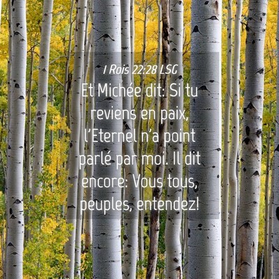 Picture 04 - 1 Rois 22:28 LSG - Et Michée dit: Si tu reviens en paix, l'Eternel - Bible Verse Picture