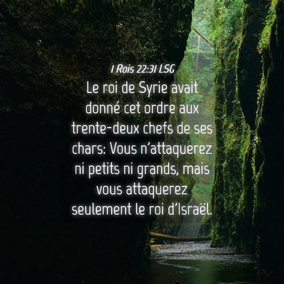 Picture 04 - 1 Rois 22:31 LSG - Le roi de Syrie avait donné cet ordre aux - Bible Verse Picture