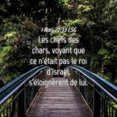 Picture 04 - 1 Rois 22:33 LSG - Les chefs des chars, voyant que ce n'était pas - Bible Verse Picture