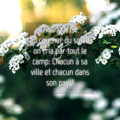 Picture 04 - 1 Rois 22:36 LSG - Au coucher du soleil, on cria par tout le camp: - Bible Verse Picture