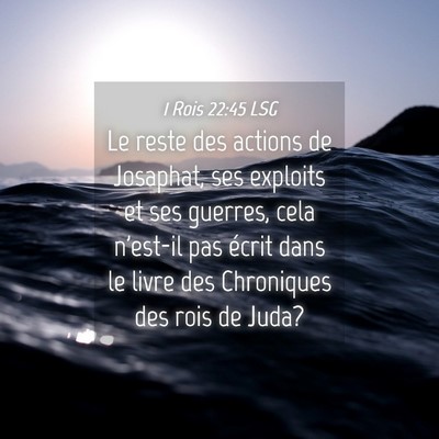Picture 04 - 1 Rois 22:45 LSG - Le reste des actions de Josaphat, ses exploits et - Bible Verse Picture