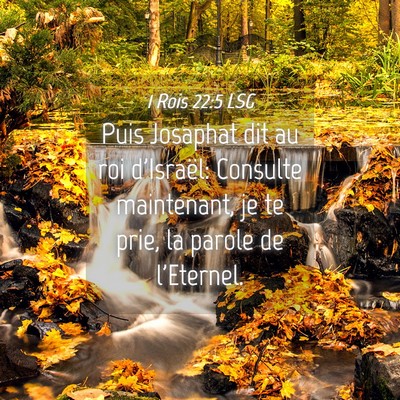 Picture 04 - 1 Rois 22:5 LSG - Puis Josaphat dit au roi d'Israël: Consulte - Bible Verse Picture