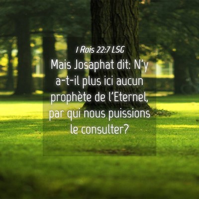 Picture 04 - 1 Rois 22:7 LSG - Mais Josaphat dit: N'y a-t-il plus ici aucun - Bible Verse Picture