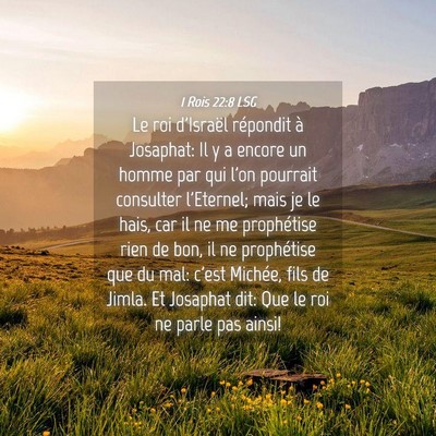 Picture 04 - 1 Rois 22:8 LSG - Le roi d'Israël répondit à Josaphat: Il y a - Bible Verse Picture