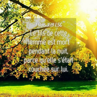 Picture 04 - 1 Rois 3:19 LSG - Le fils de cette femme est mort pendant la nuit, - Bible Verse Picture