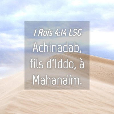 Picture 04 - 1 Rois 4:14 LSG - Achinadab, fils d'Iddo, à - Bible Verse Picture