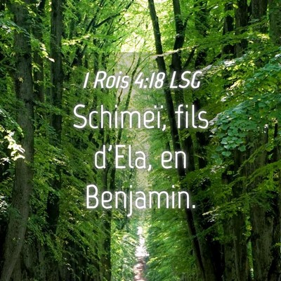 Picture 04 - 1 Rois 4:18 LSG - Schimeï, fils d'Ela, en - Bible Verse Picture