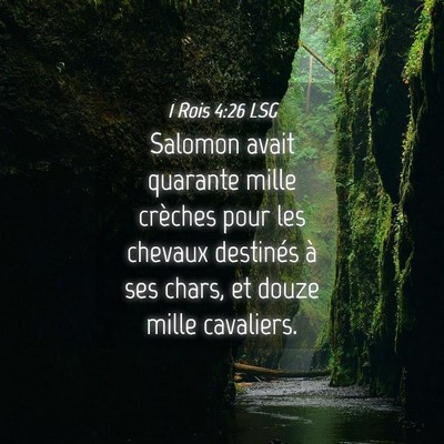 Picture 04 - 1 Rois 4:26 LSG - Salomon avait quarante mille crèches pour les - Bible Verse Picture