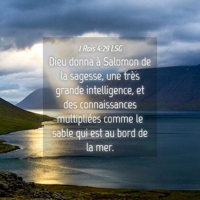 Picture 04 - 1 Rois 4:29 LSG - Dieu donna à Salomon de la sagesse, une très - Bible Verse Picture