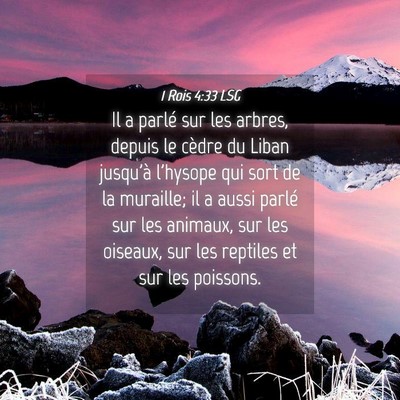 Picture 04 - 1 Rois 4:33 LSG - Il a parlé sur les arbres, depuis le cèdre du - Bible Verse Picture