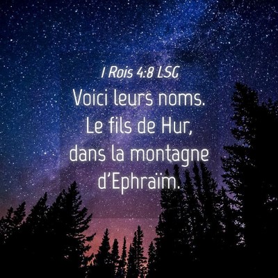 Picture 04 - 1 Rois 4:8 LSG - Voici leurs noms. Le fils de Hur, dans la - Bible Verse Picture