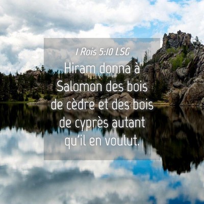 Picture 04 - 1 Rois 5:10 LSG - Hiram donna à Salomon des bois de cèdre et des - Bible Verse Picture