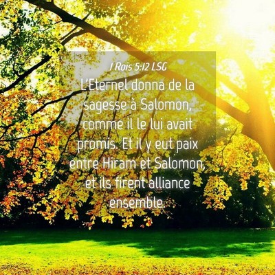 Picture 04 - 1 Rois 5:12 LSG - L'Eternel donna de la sagesse à Salomon, comme - Bible Verse Picture