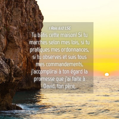Picture 04 - 1 Rois 6:12 LSG - Tu bâtis cette maison! Si tu marches selon mes - Bible Verse Picture