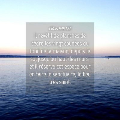 Picture 04 - 1 Rois 6:16 LSG - Il revêtit de planches de cèdre les vingt - Bible Verse Picture